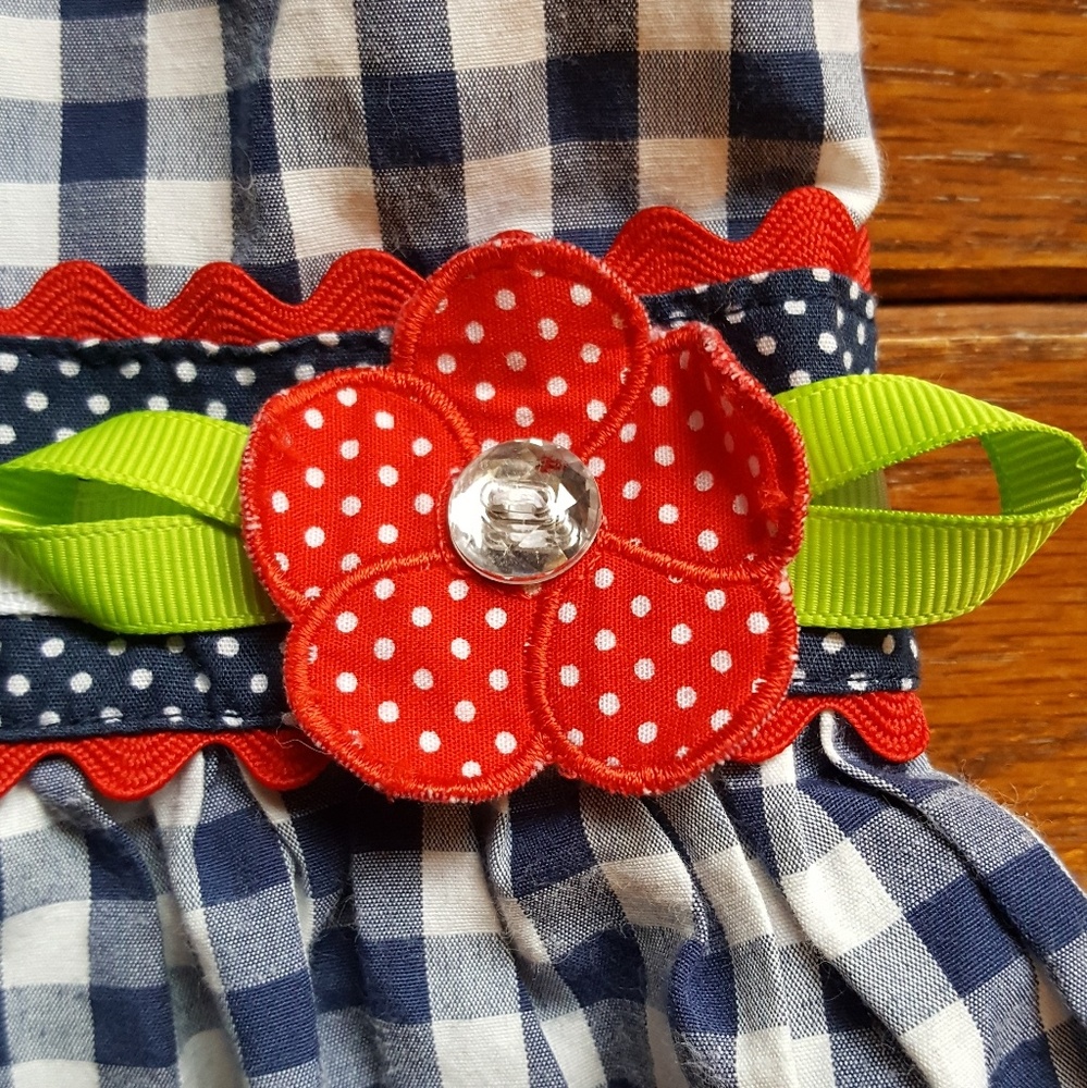 Baby girls 18 month picnic 4th of july dress - Picture 3 of 5